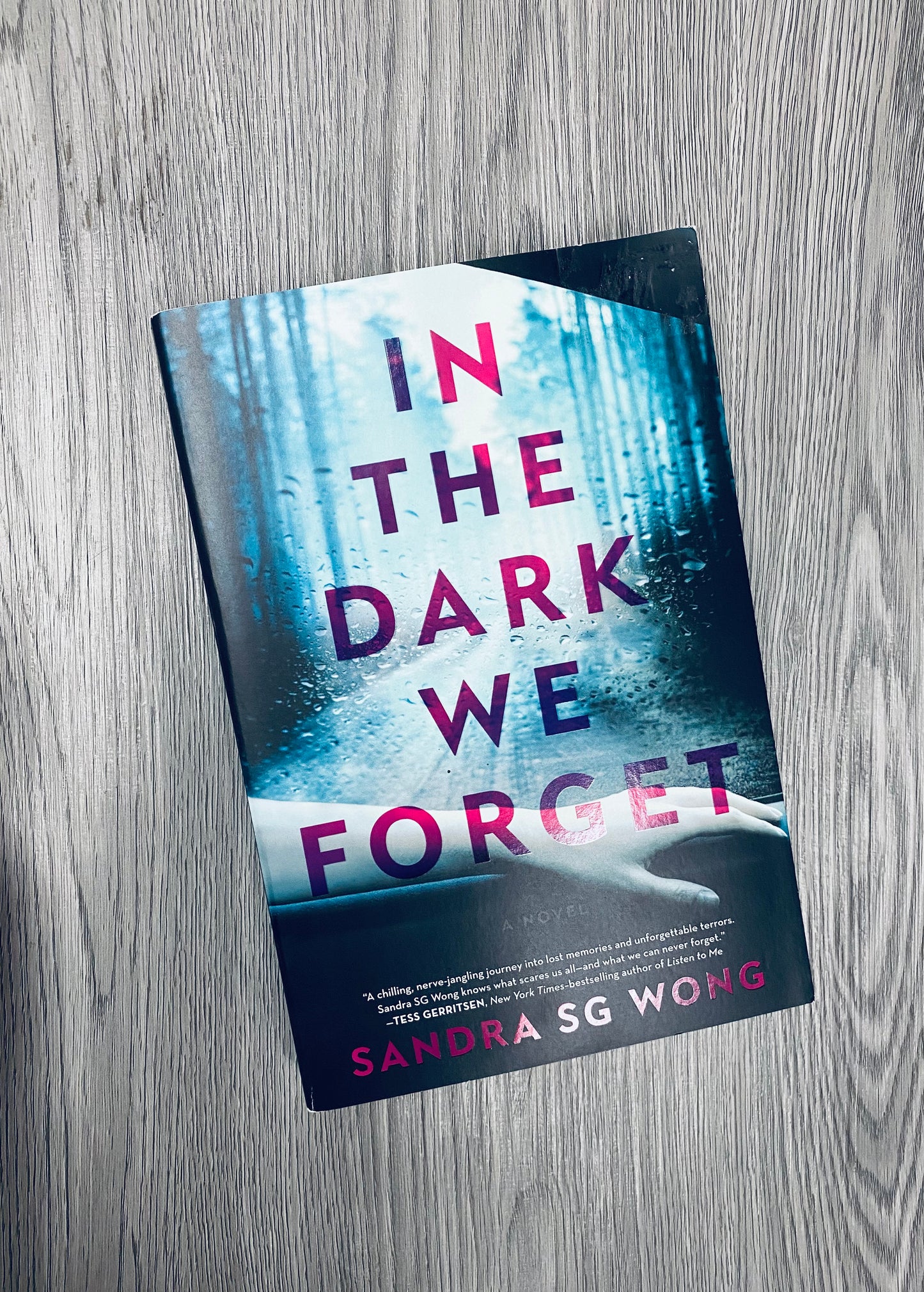 In The Dark We Forget by Sandra S.G Wong