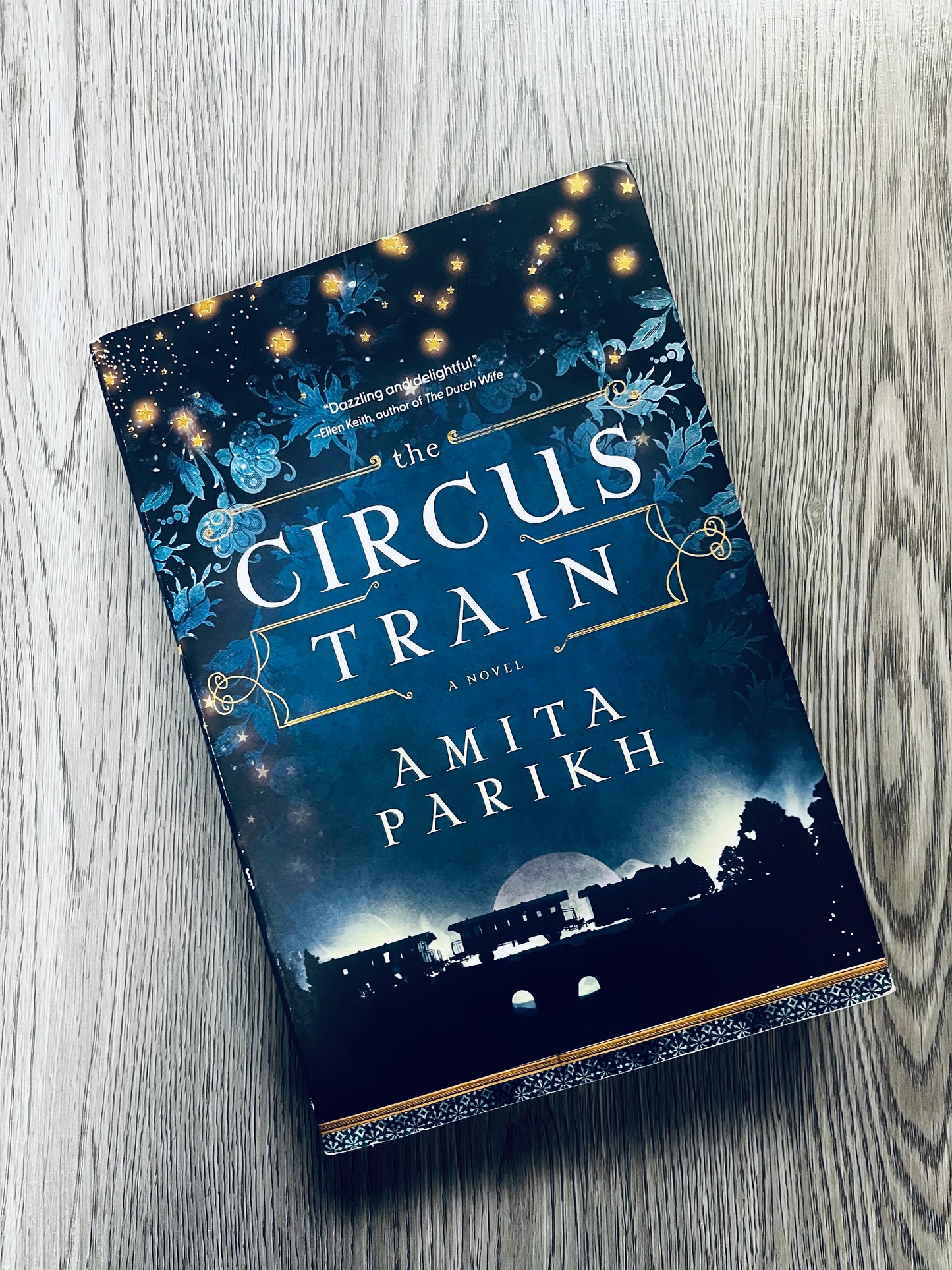 The Circus Train by Amita Parikh