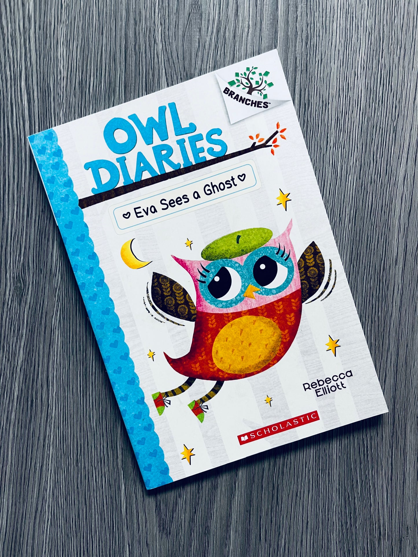 Owl Diaries Series by Rebecca Elliott