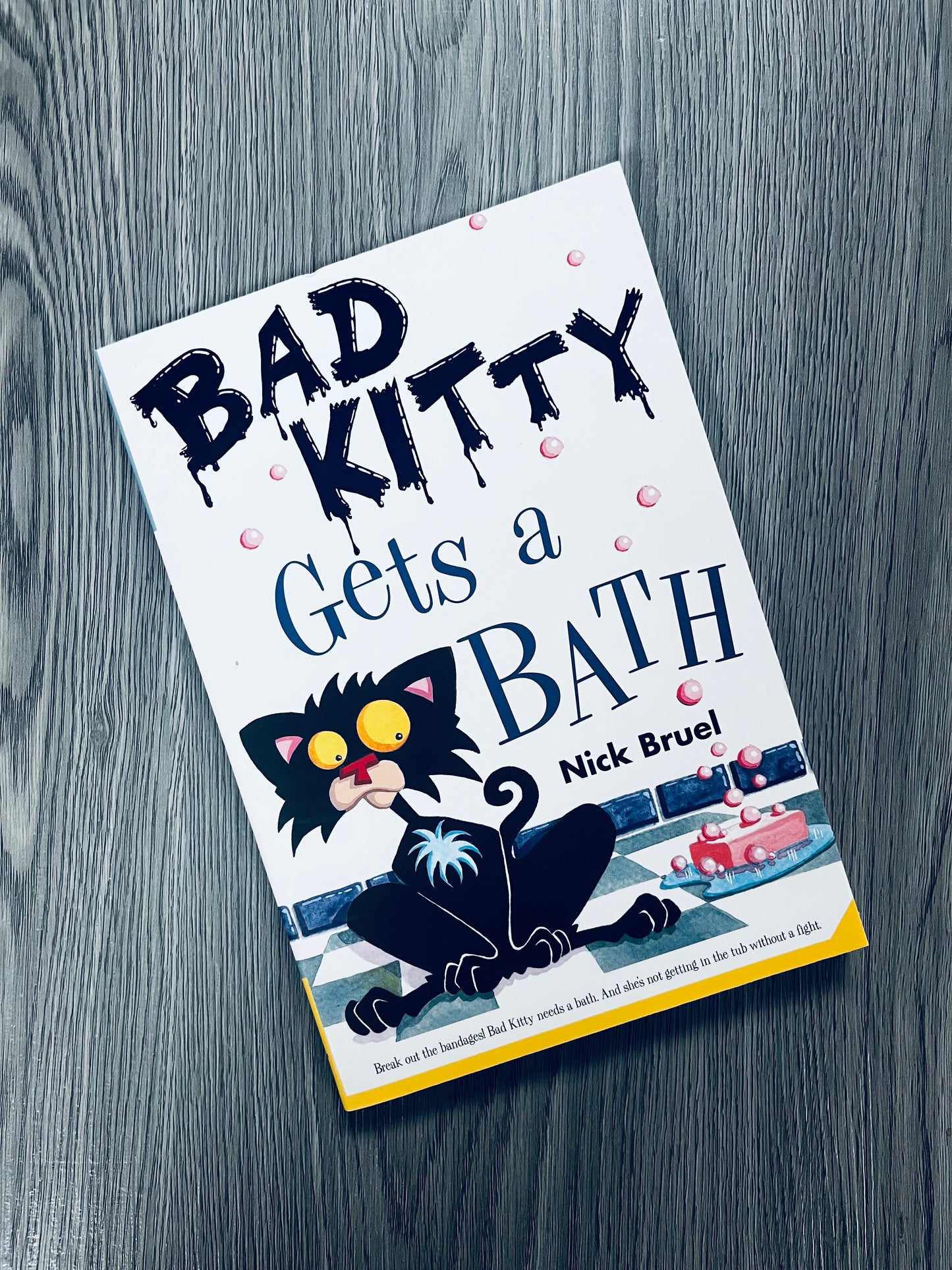 Bad Kitty by Nick Bruel