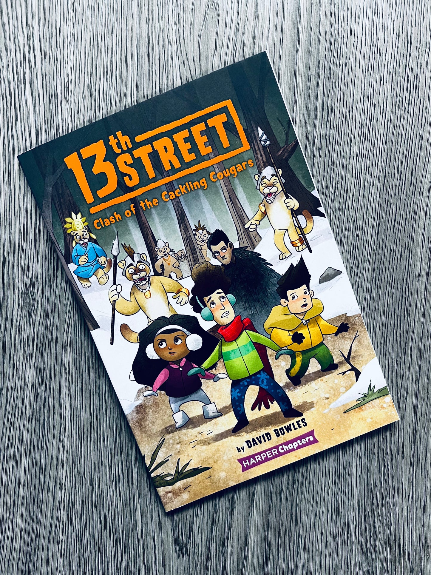 The 13th Street Series by David Bowles