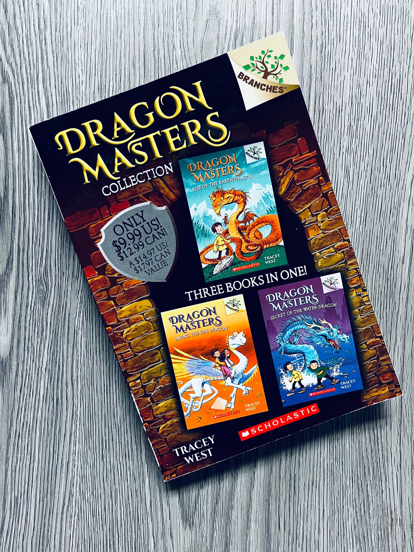 Dragon Masters by Tracey West