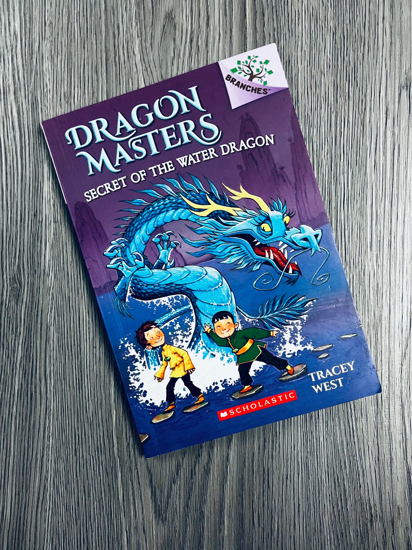 Dragon Masters by Tracey West