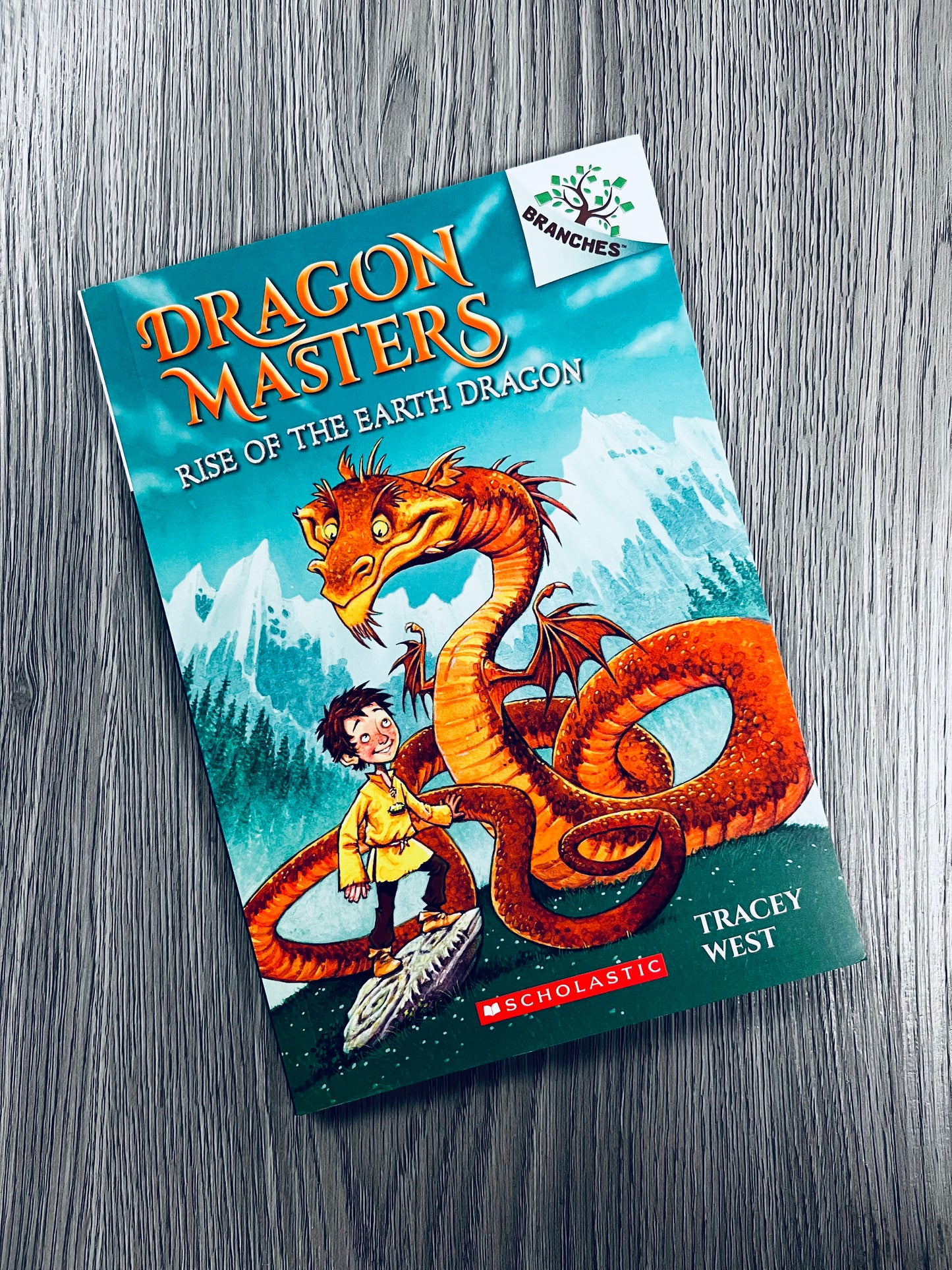 Dragon Masters by Tracey West