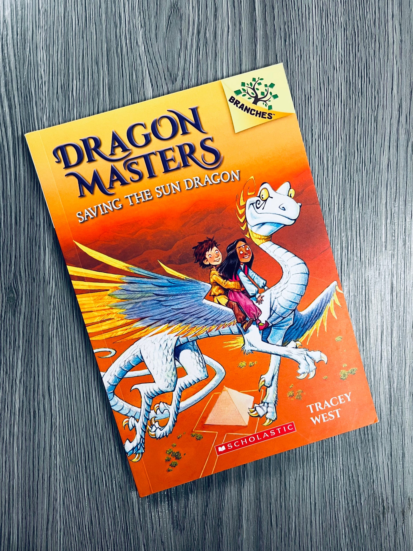 Dragon Masters by Tracey West