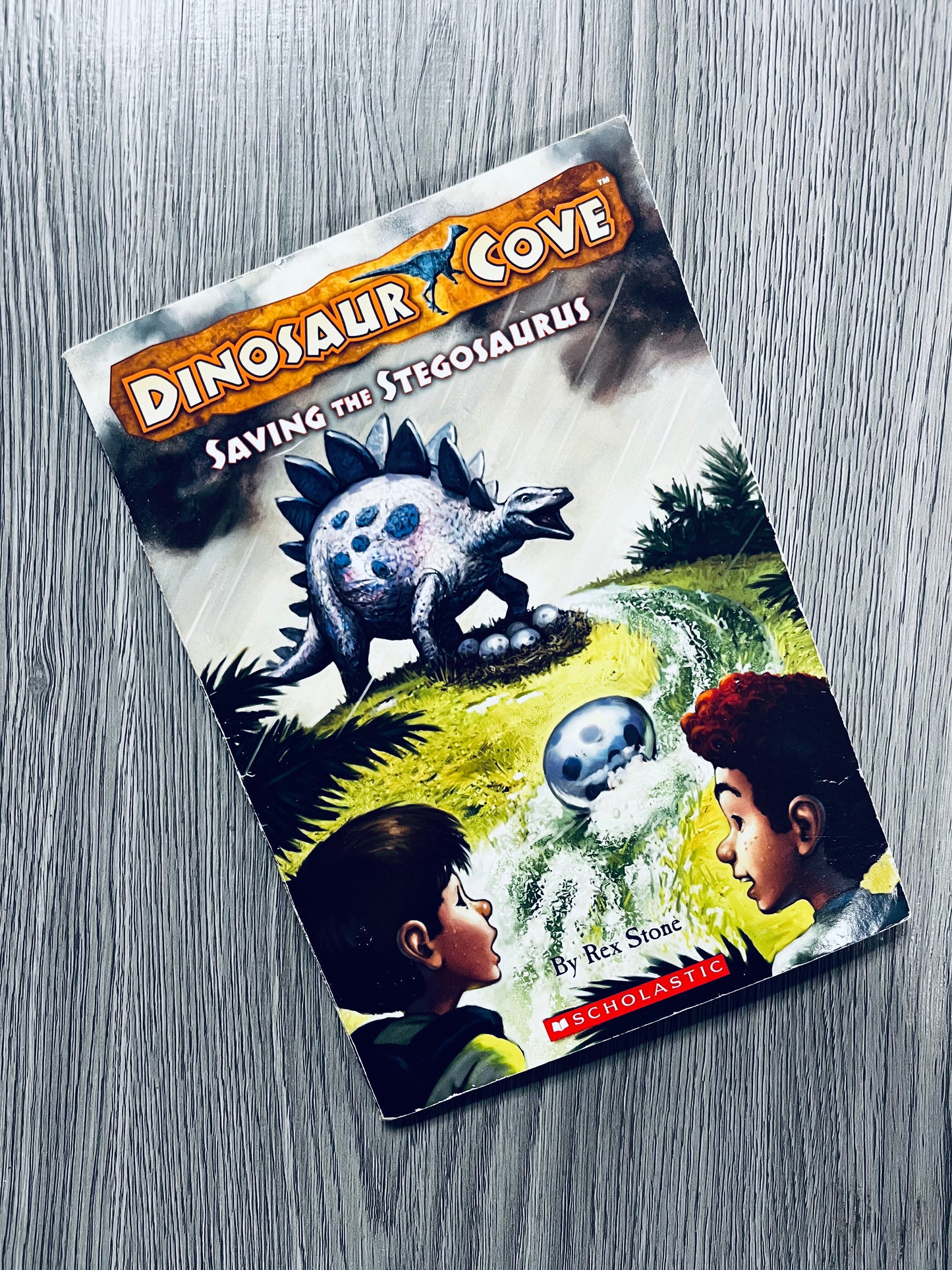 Dinosaur Cove by Rex Stone