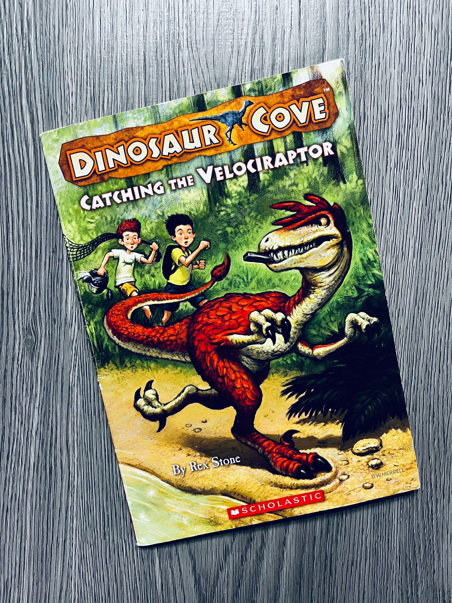 Dinosaur Cove by Rex Stone