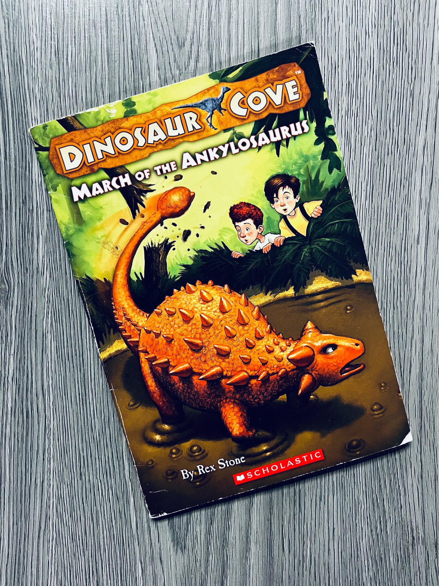 Dinosaur Cove by Rex Stone