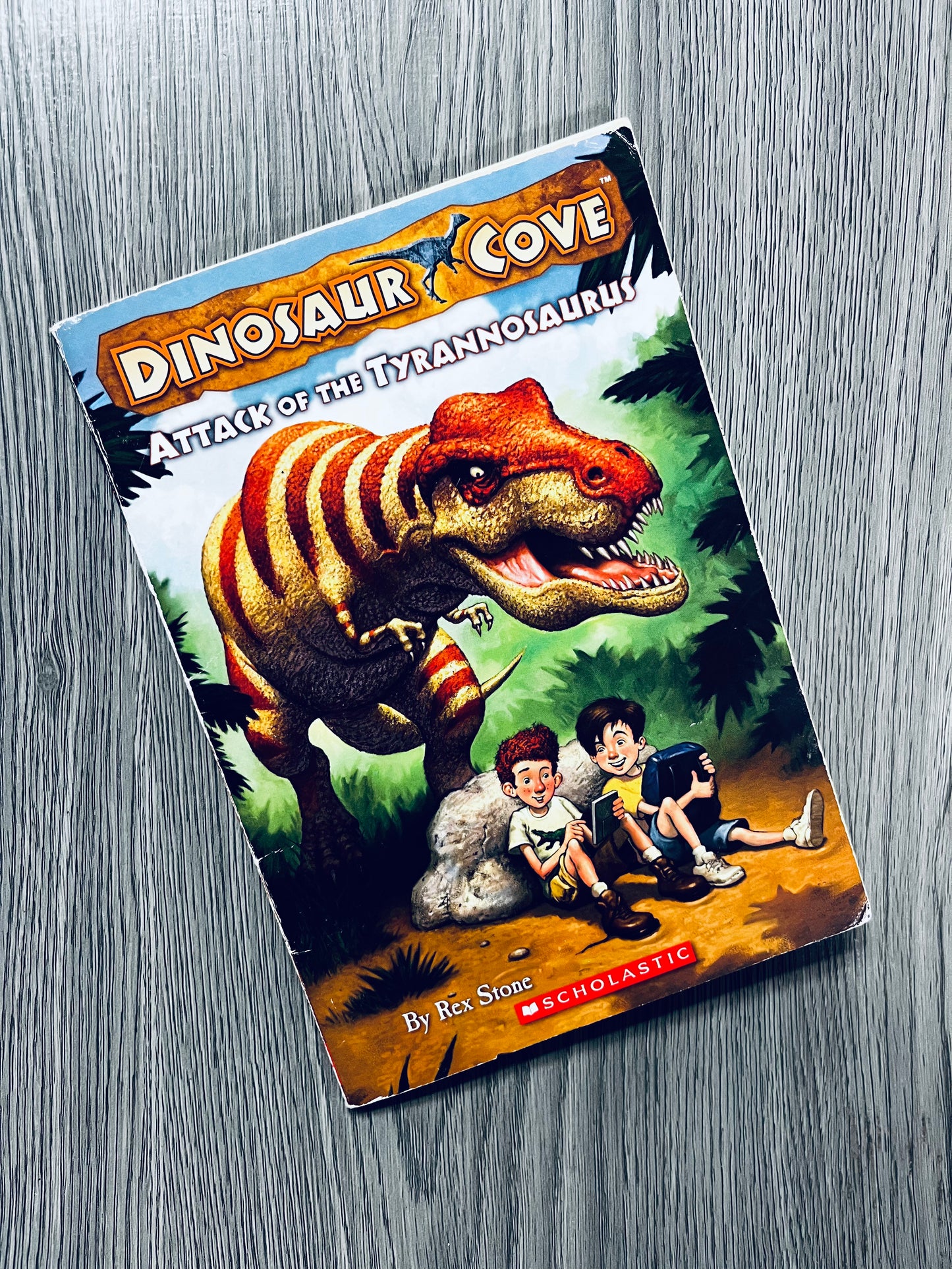 Dinosaur Cove by Rex Stone