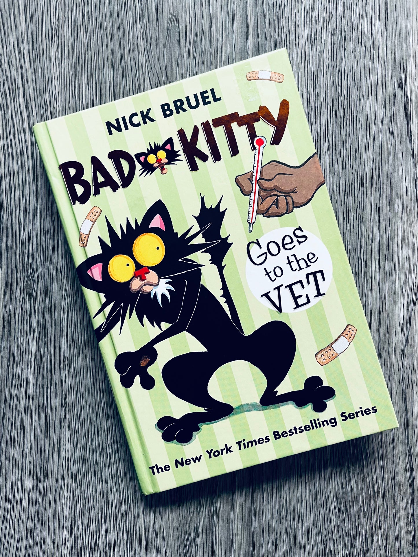 Bad Kitty by Nick Bruel