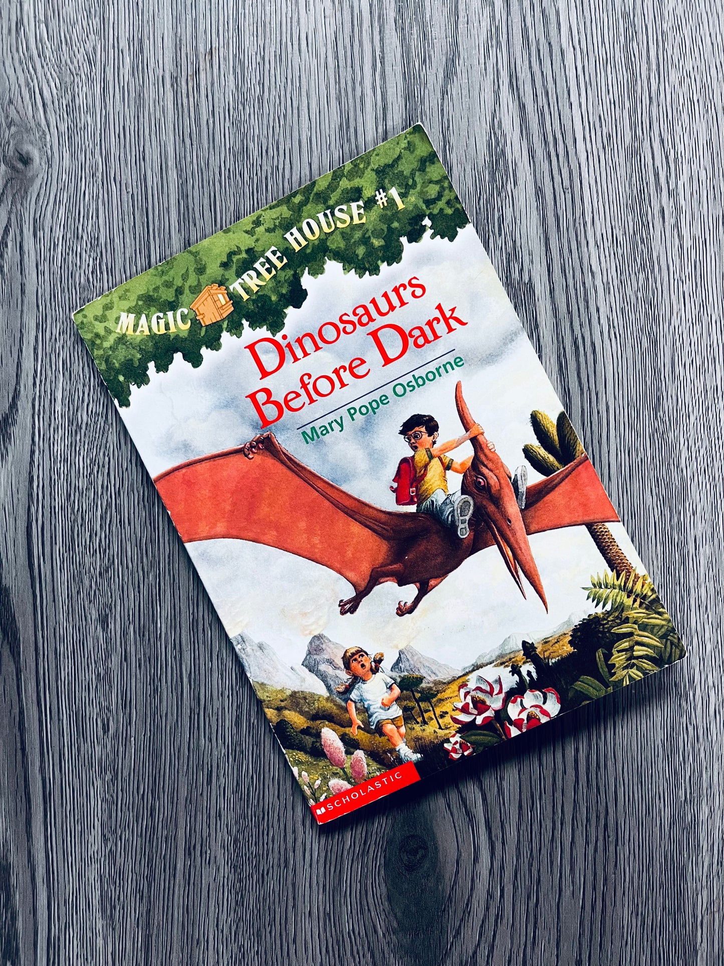 Magic Tree House by Mary Pope Osborne